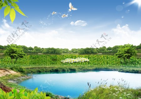 绿草池塘蓝天图片