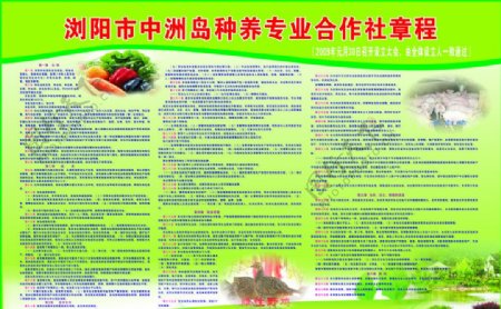中洲岛种养专业合作社章程图片