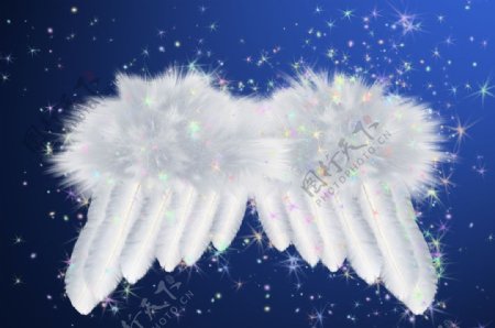 鼠绘天使的翅膀图片