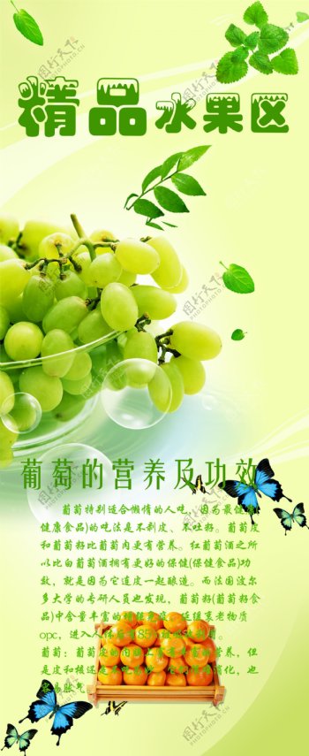 精品水果区绿色图片