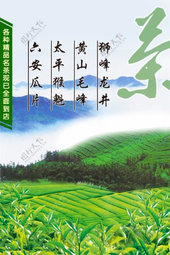 茶龙井海报图片