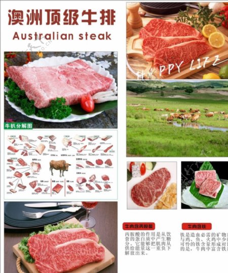 澳洲顶级牛排海报图片