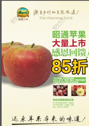 昭通苹果海报图片