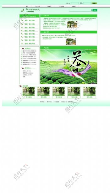 茶叶网站模版图片