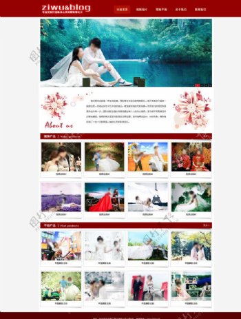 摄影婚庆类网站首页图片