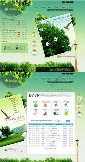 韩国风景旅游类网站模板图片