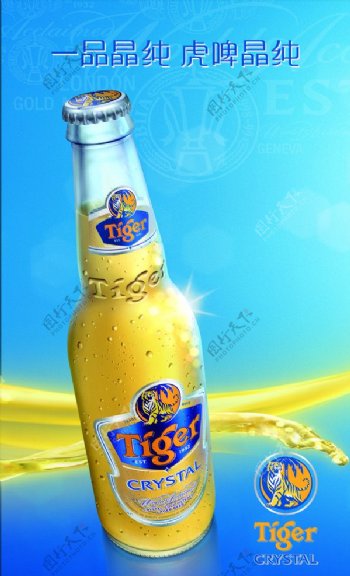 虎牌啤酒素材虎牌logo蓝色背景晶纯图片