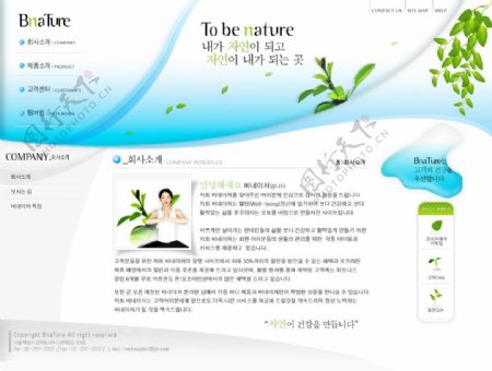 韩国网站模板公司介绍页图片