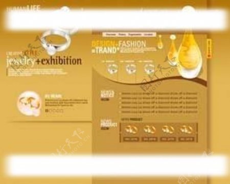 韩国珠宝钻戒网站首页模板图片