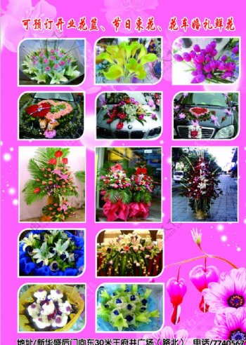 花卉DM单图片