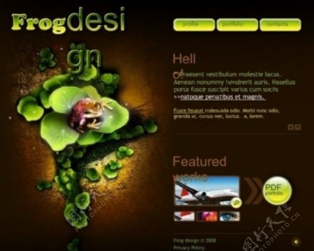 青蛙flash网页动画图片