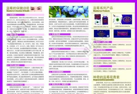 蓝莓护眼远东国际三折图片