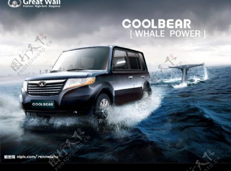 汽车广告酷熊鲸鱼图片