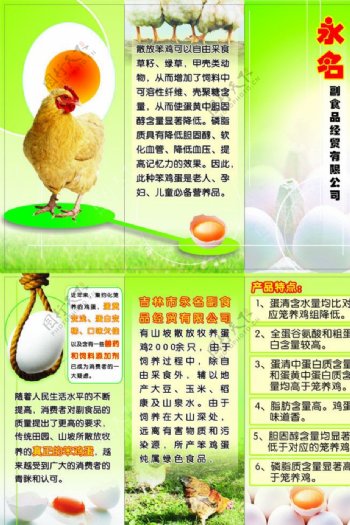 养鸡厂宣传单图片