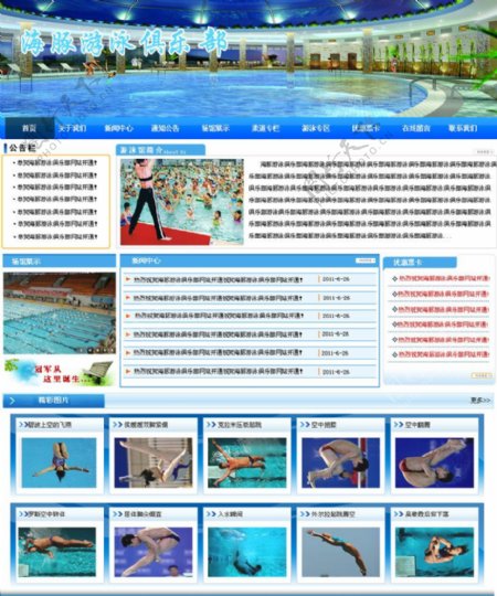 海豚俱乐部网站设计图片
