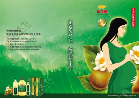 茶籽油月子油宣传单图片