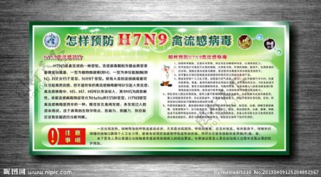 H7N9禽流感病宣传图片