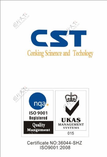 CST标志图片
