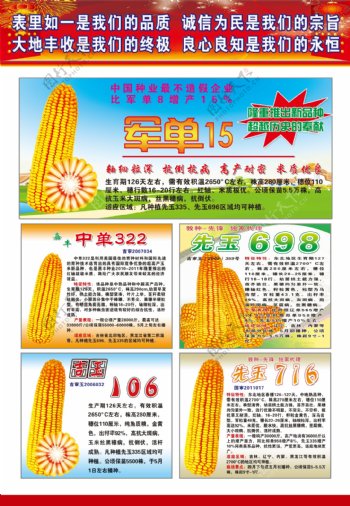 玉米宣传画玉米宣传页图片