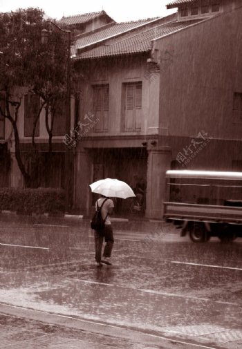 雨中撑伞的男人图片