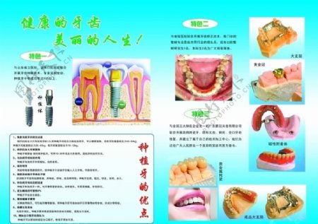 牙科宣传彩页图片