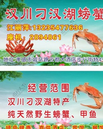 汉川刁汉湖螃蟹图片