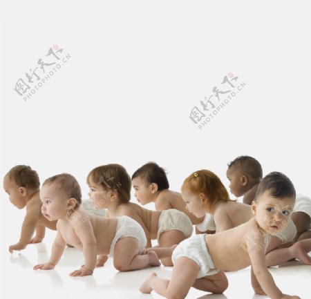 一群趴着的婴儿宝宝图片