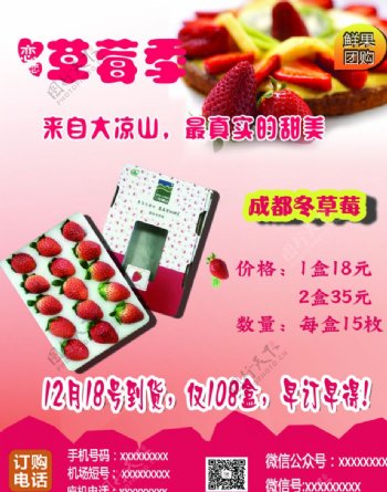 成都冬草莓微信海报图片