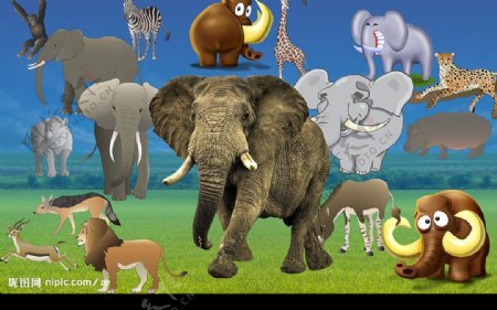 大象矢量素材图片