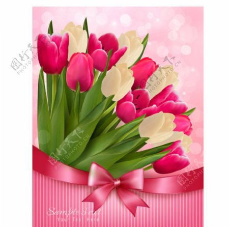 郁金香花卉卡片矢量图片