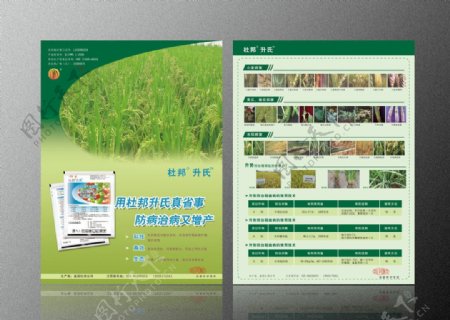 杜邦农药升氏产品宣传DM图片