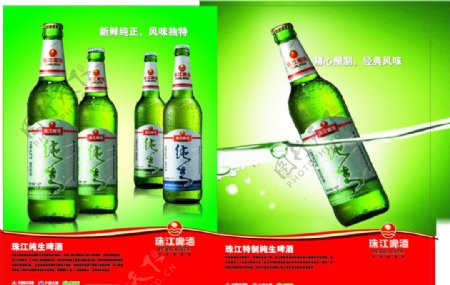 珠江特制纯生啤酒图片