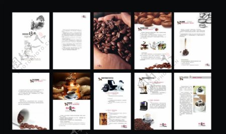 咖啡豆宣传册图片