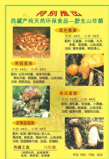 野生山珍菌海报图片