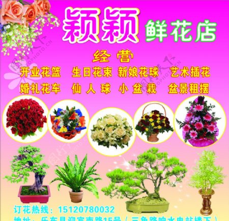 颖颖鲜花店图片