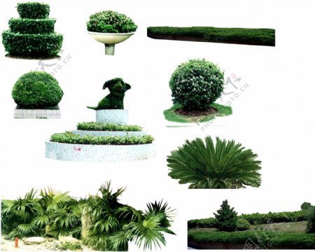 植物分层素材图片