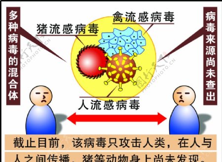 H1N1病毒示意图图片