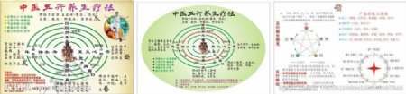中医五行养生医疗彩页图片