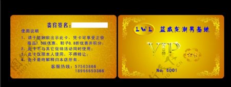 蓝威龙VIP金卡图片