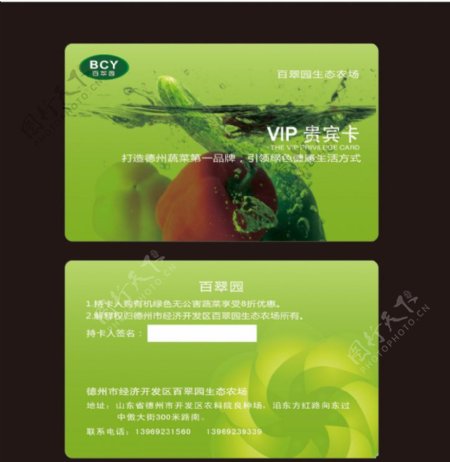 蔬菜VIP卡图片