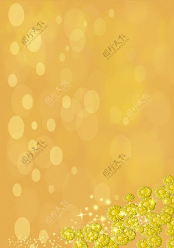 菊花图图片