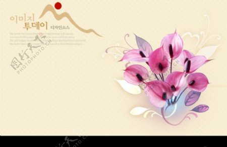 韩国花纹背景图片