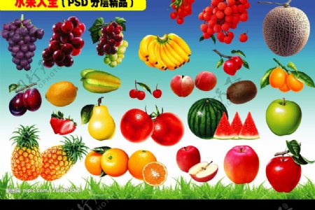 水果素材PSD分层图片
