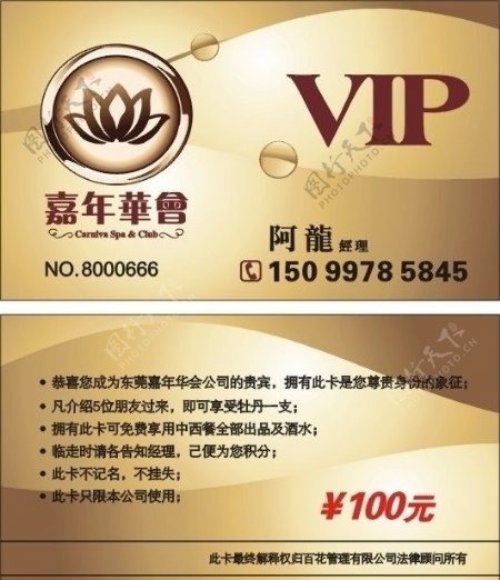 嘉年华酒店VIP图片