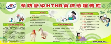 H7N9禽流感宣传栏图片