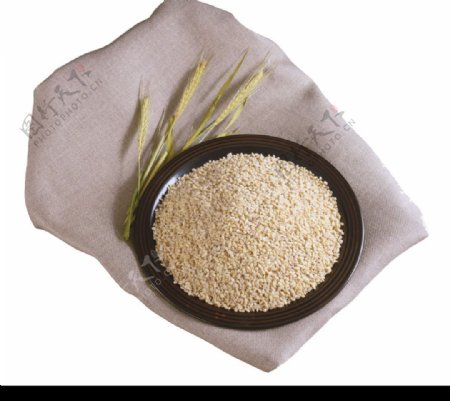 米业粮食农业图片