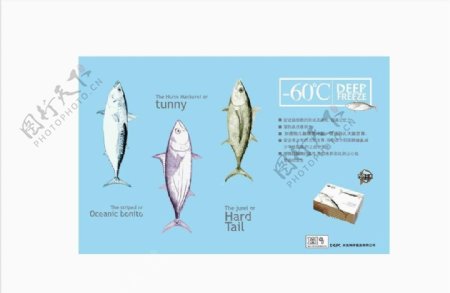 鱼制品海报图片