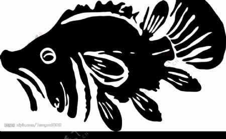 古典鱼纹图片