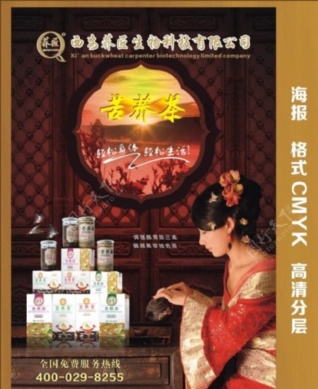 苦荞茶海报图片