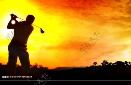 Golfer选手图片